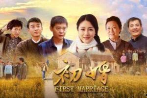 初婚电视剧,爱情与现实的交织